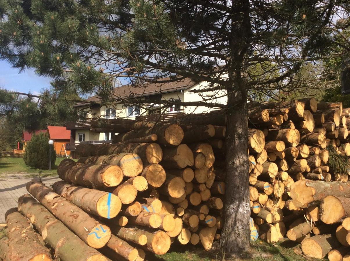 Ferienwohnung Harzblick 1 Braunlage Kültér fotó