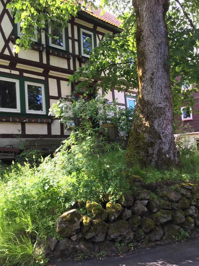 Ferienwohnung Harzblick 1 Braunlage Kültér fotó