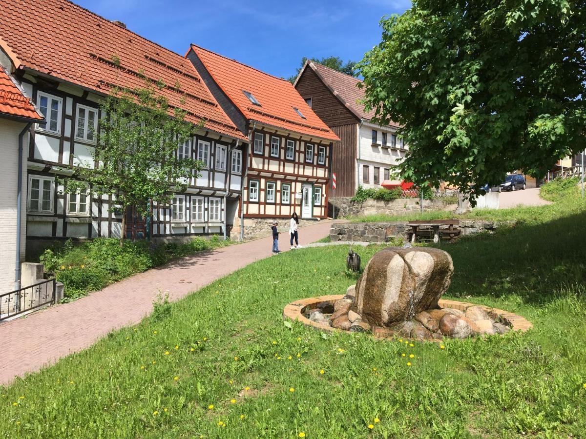 Ferienwohnung Harzblick 1 Braunlage Kültér fotó